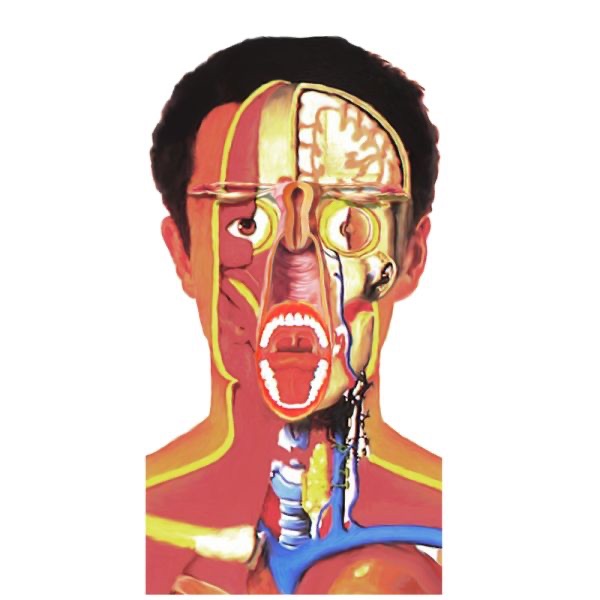 Transearth - Single album cover