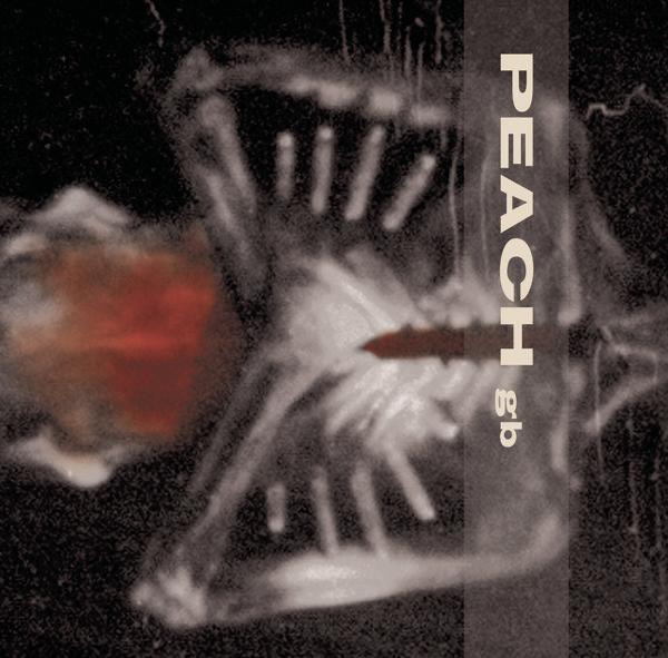 Giving Birth to a Stone album cover