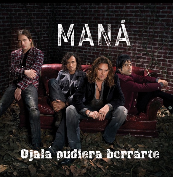 Ojala Pudiera Borrarte - Single album cover