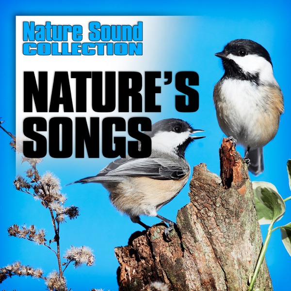 Nature’s Songs (Nature Sounds) album cover