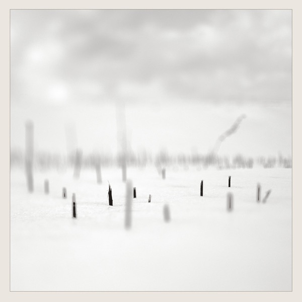 In A Place Of Such Graceful Shapes album cover