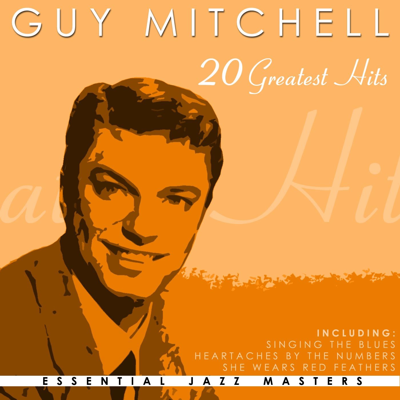 20 Greatest Hits (Re-Recorded Versions) [Re-Recorded Versions] album cover
