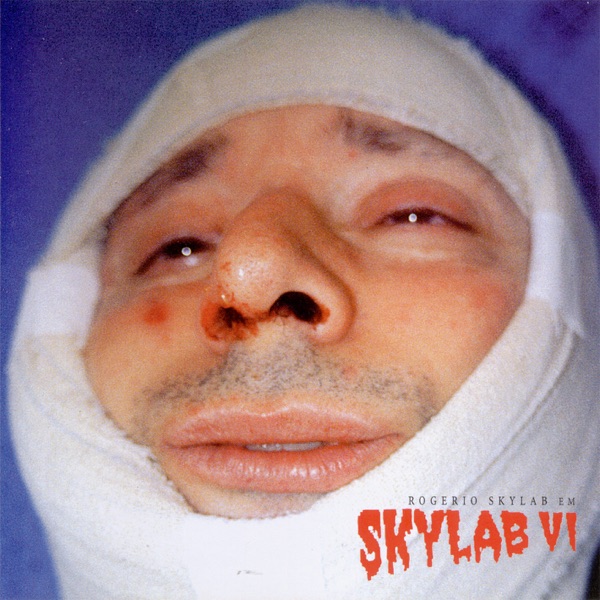 Skylab VI album cover