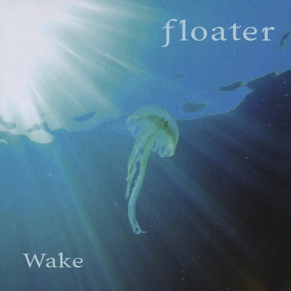 Wake album cover