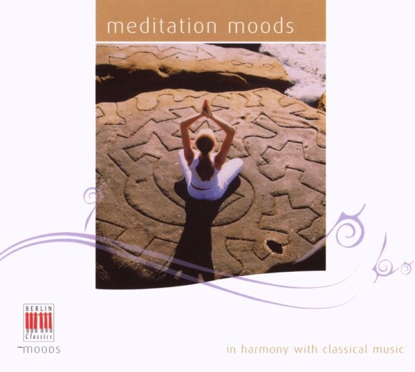 Meditations Moods (In Harmony with Classical Music) album cover