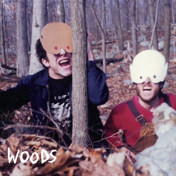 How to Survive In - In the Woods album cover
