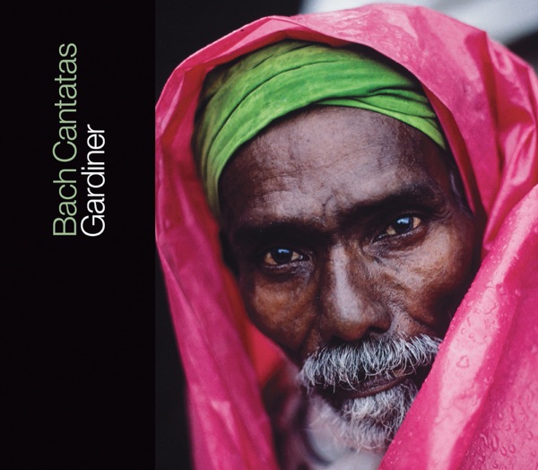 Bach: Cantatas, Vol. 6 - BWV 33, 35, 69A, 77, 137, 164 album cover