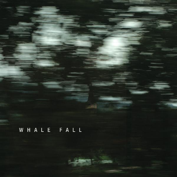 Whale Fall album cover