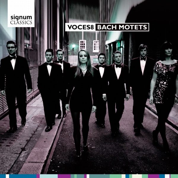 Bach Motets album cover