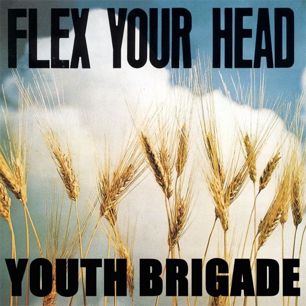 Flex Your Head album cover