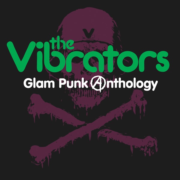 Glam Punk Anthology album cover