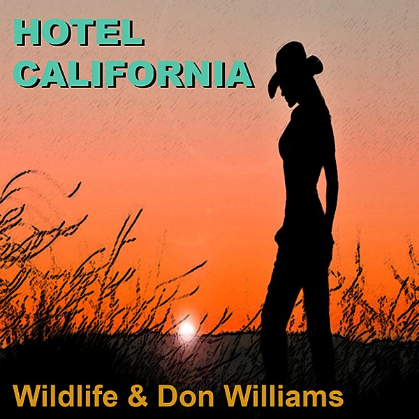 Hotel California album cover