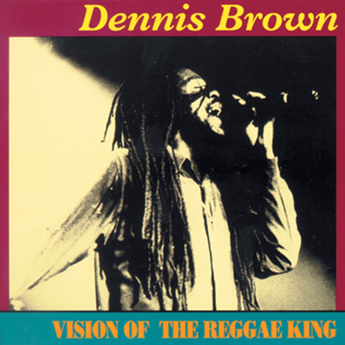 Vision of the Reggae King album cover