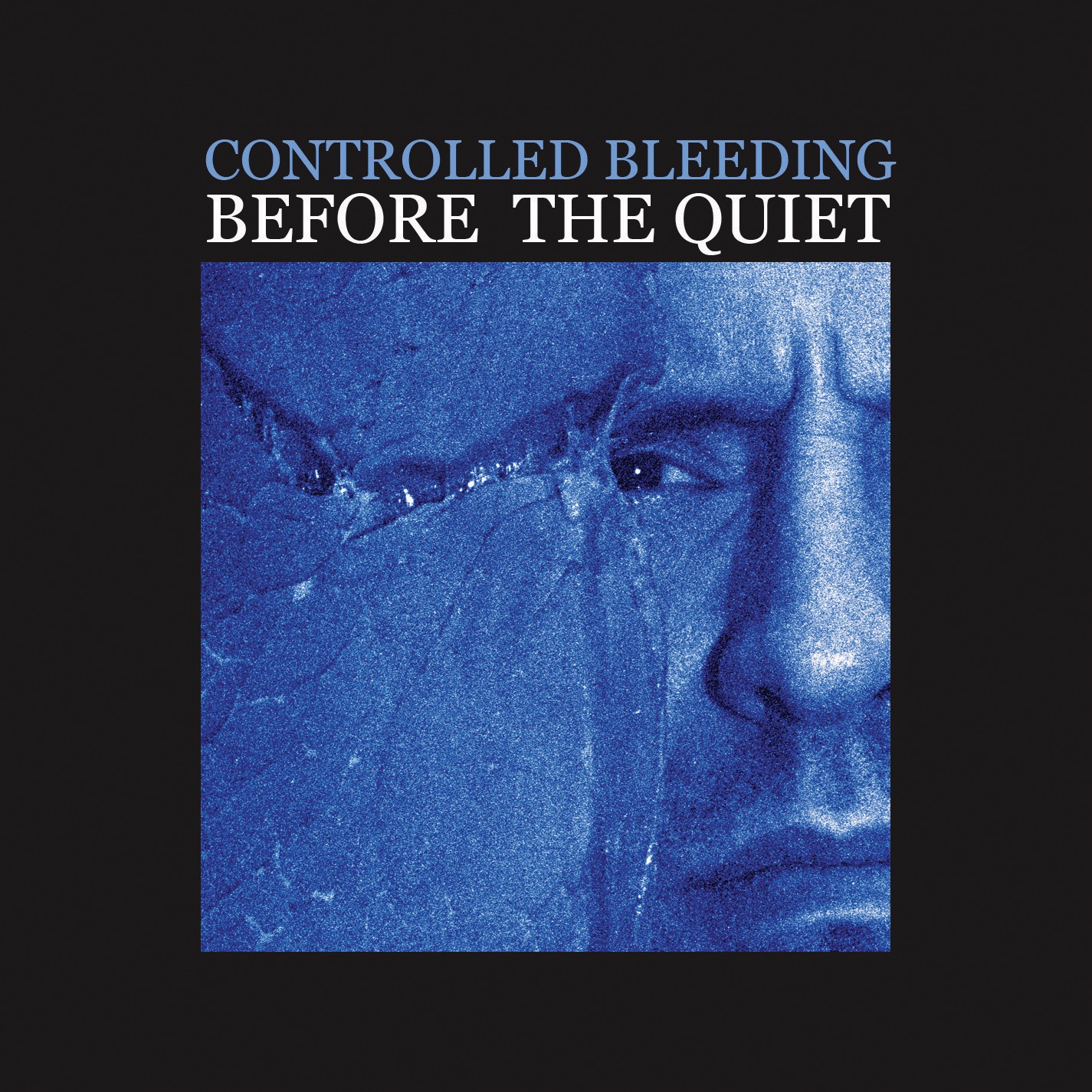 Before The Quiet album cover