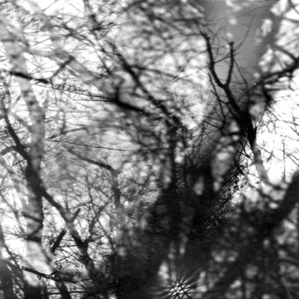 Way Their Crept album cover