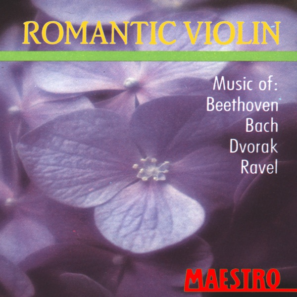 Romantic Violin: Music of Beethoven, Bach, Dvorak, Ravel album cover