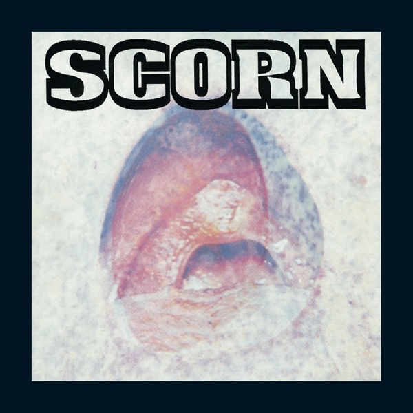 Vae Solis album cover