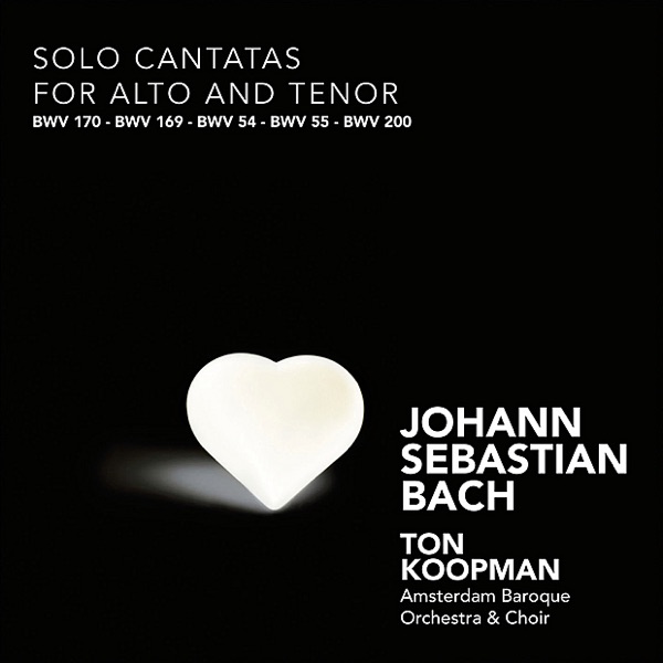 Bach: Solo Cantatas for Alto and Tenor album cover