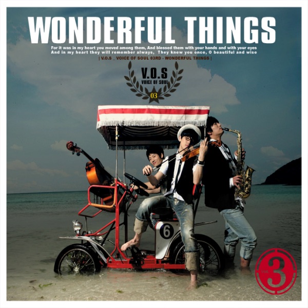 Wonderful Things album cover