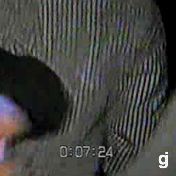 Our Color Green (The Singles) - EP album cover