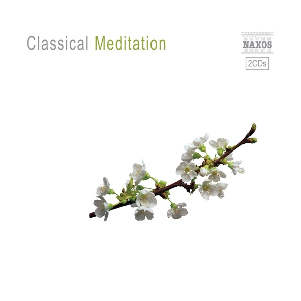 Classical Meditation album cover