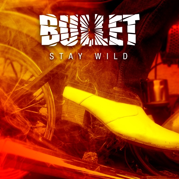 Stay Wild - Single album cover