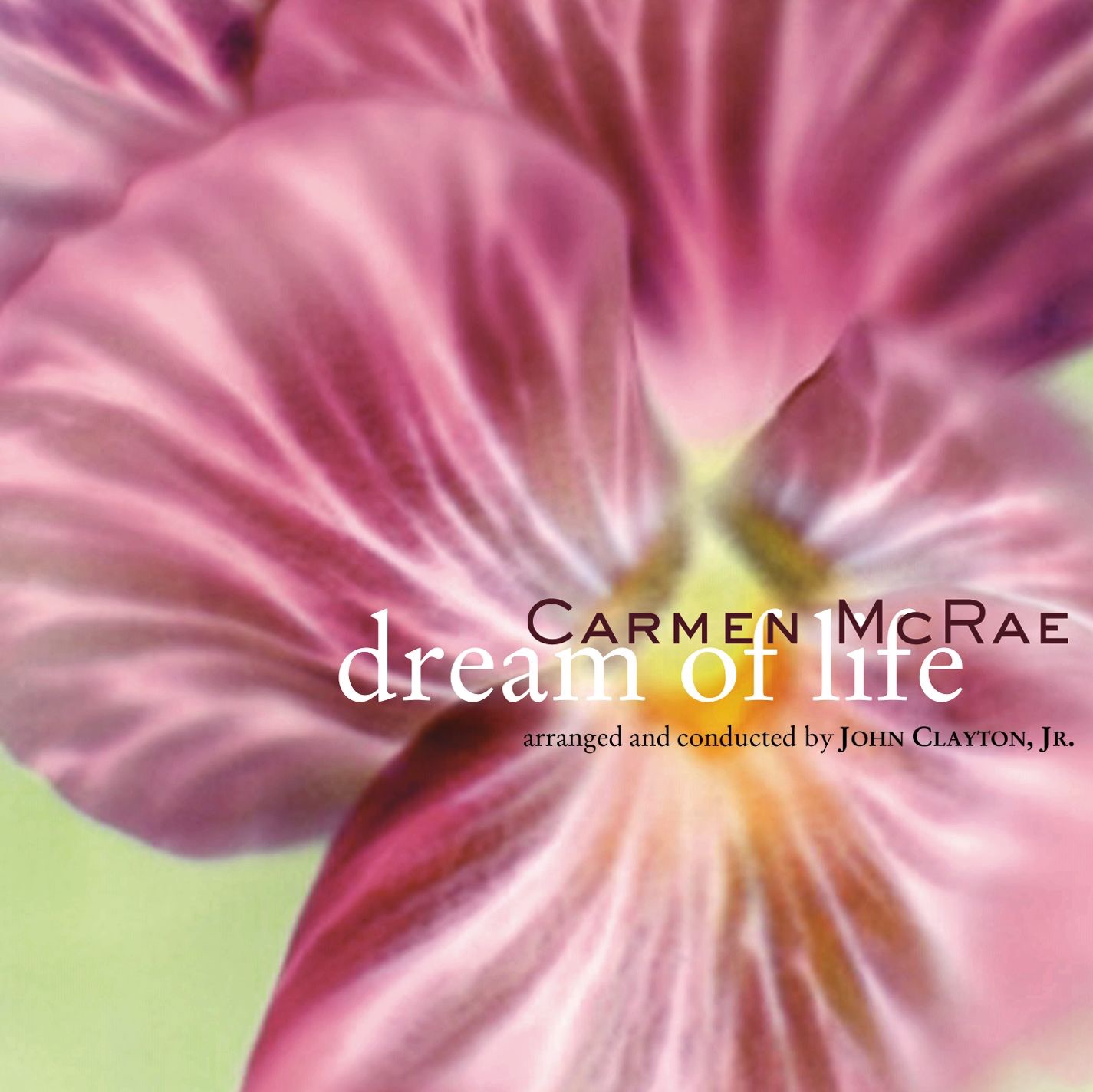 Dream of Life album cover