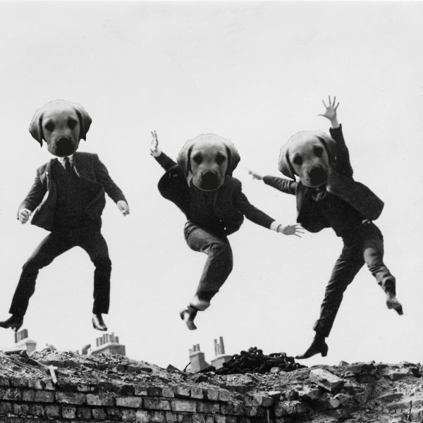 Big Dog (Remixed) album cover