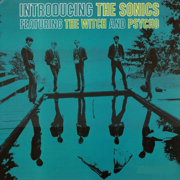 Introducing The Sonics album cover