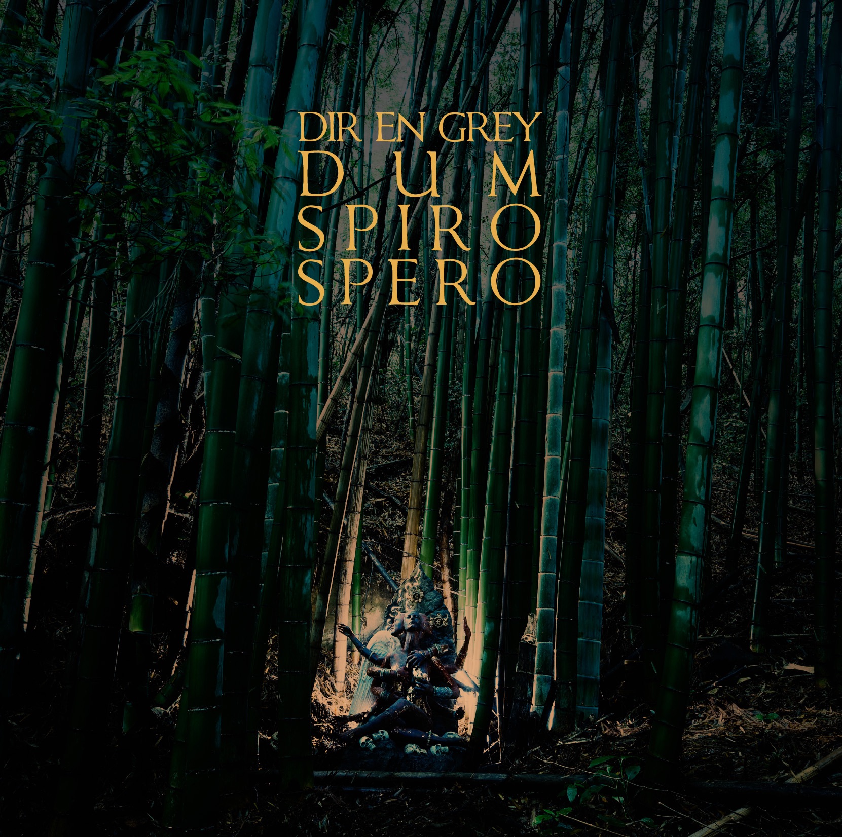 Dum Spiro Spero album cover