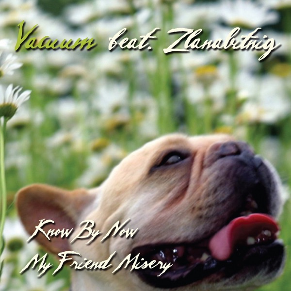 Know By Now (feat. Zlanabitnig) - Single album cover
