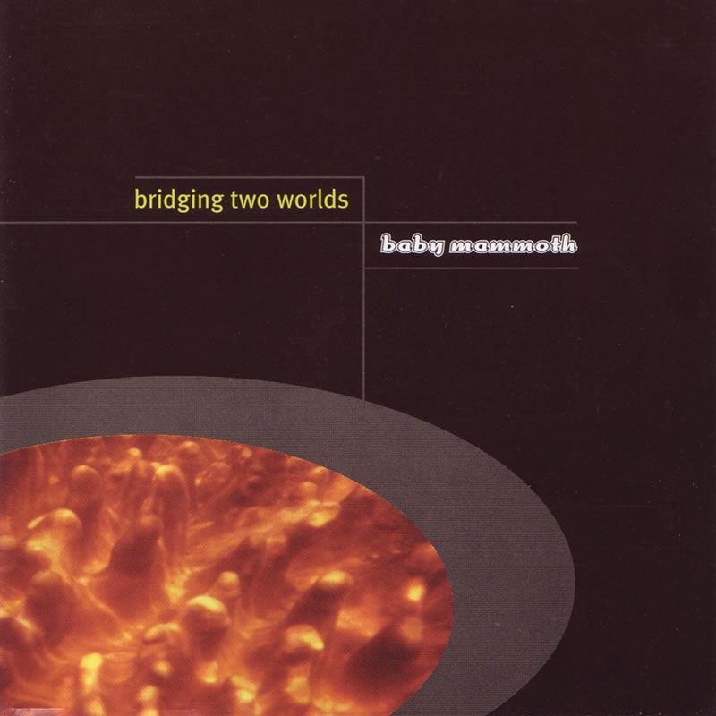 Bridging Two Worlds album cover