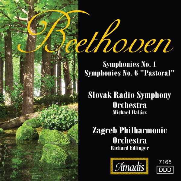 Beethoven: Symphonies Nos. 1 and 6 album cover