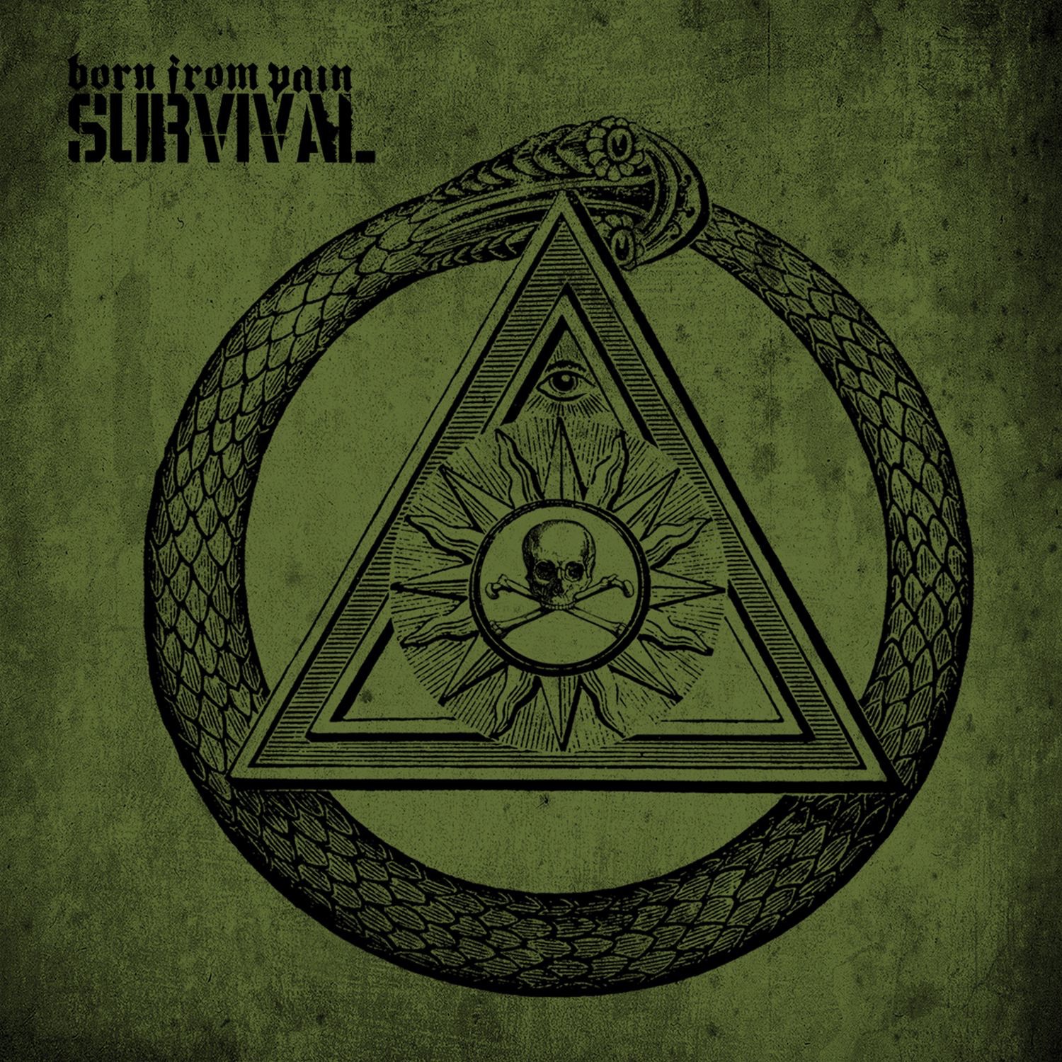 Survival album cover