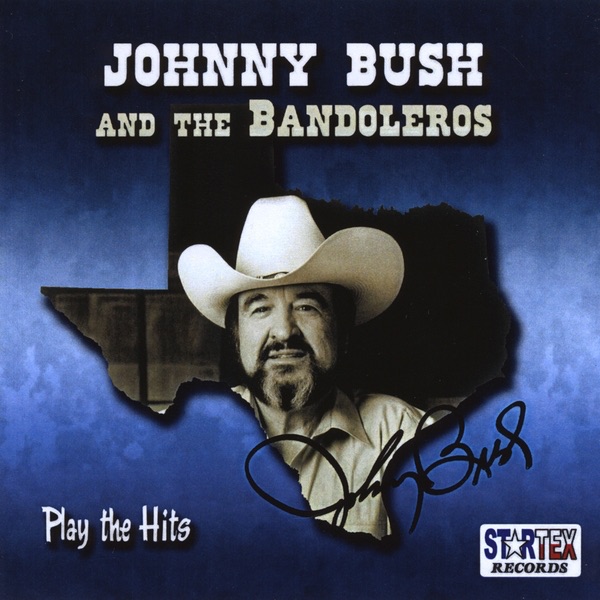 Johnny Bush And The Bandoleros Play The Hits album cover