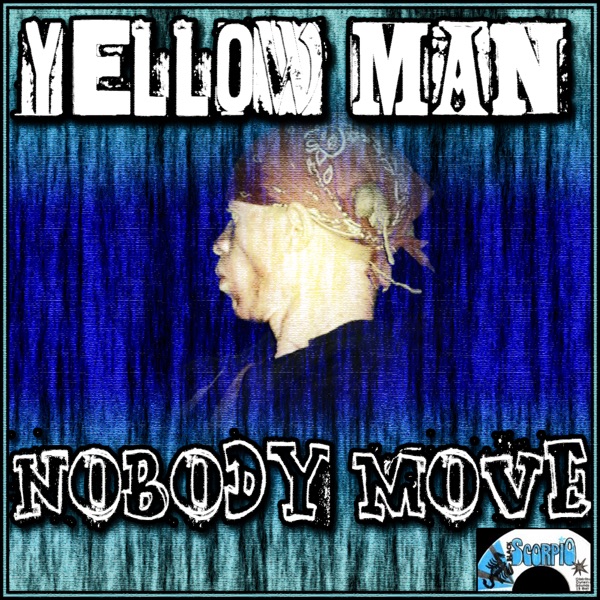 Nobody Move album cover