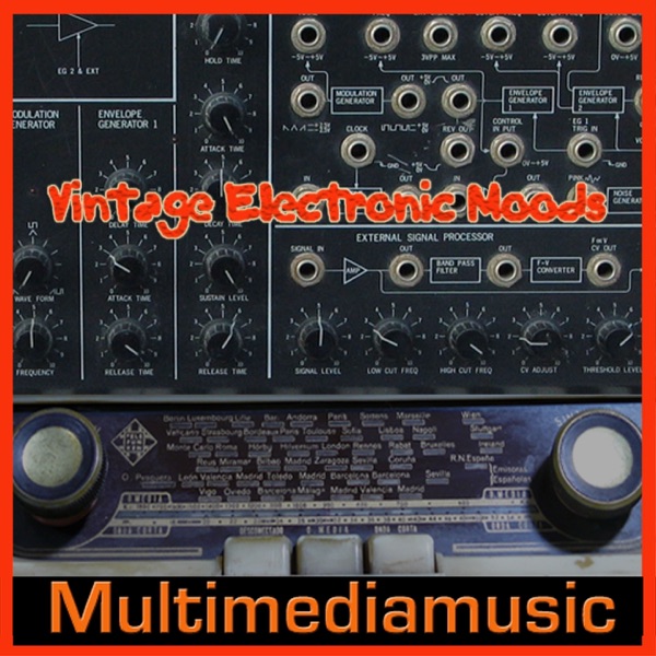Vintage Electronic Moods album cover