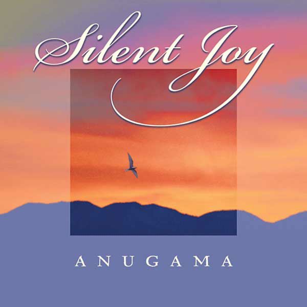 Silent Joy album cover