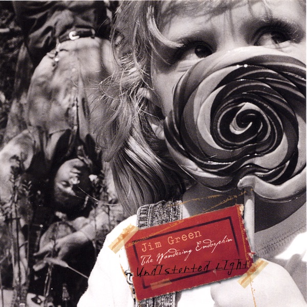 Undistorted Light album cover