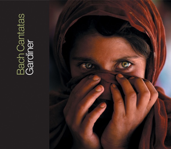 Bach: Cantatas, Vol. 8 - BWV 8, 27, 51, 95, 99, 100, 138, 161 album cover