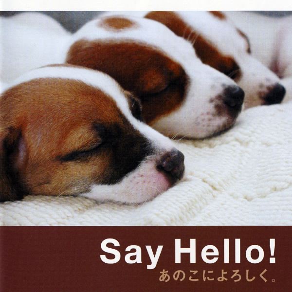 Say Hello! あのこによろしく。 (オリジナル・サウンドトラック) album cover