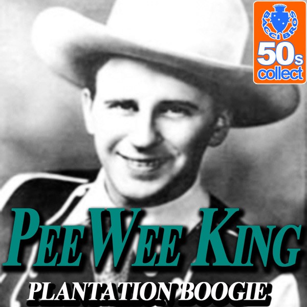 Plantation Boogie (Digitally Remastered) - Single album cover