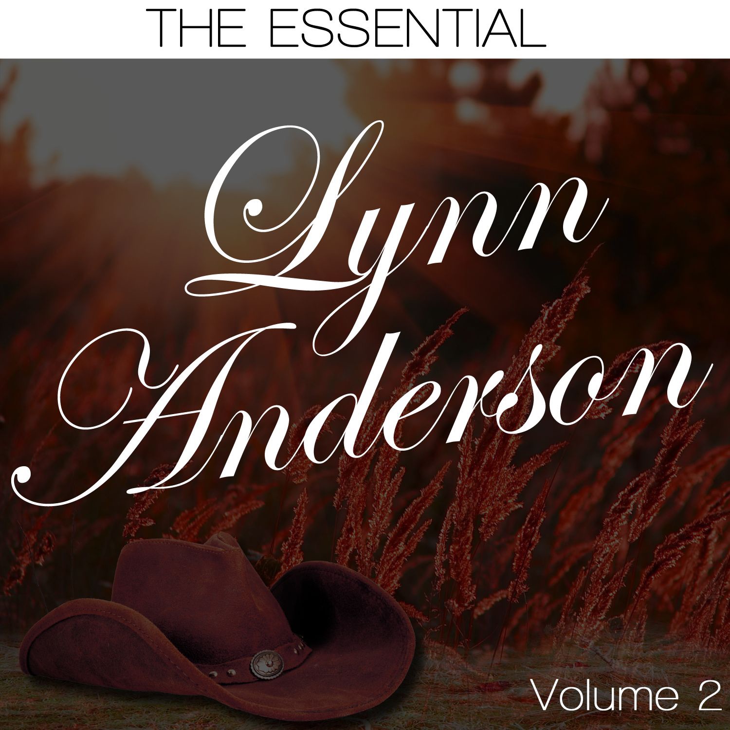 The Essential Lynn Anderson, Vol. 2 album cover