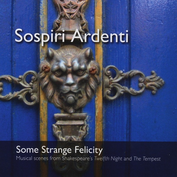 Some Strange Felicity album cover