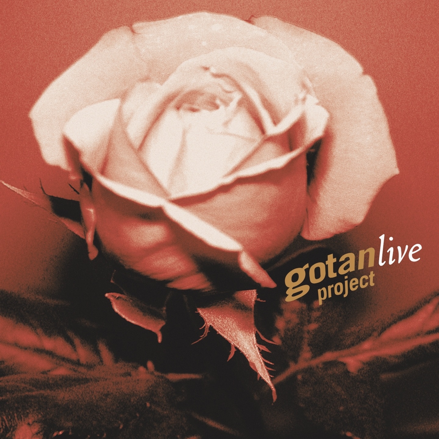 Gotan Project Live album cover