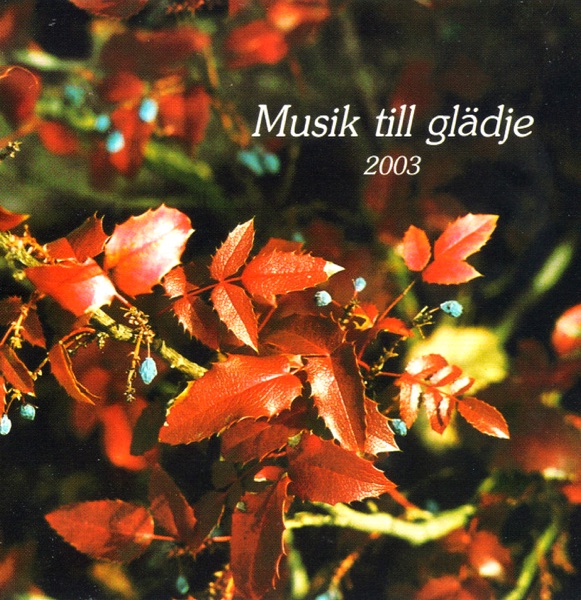 Musik till Gladje 2003 album cover