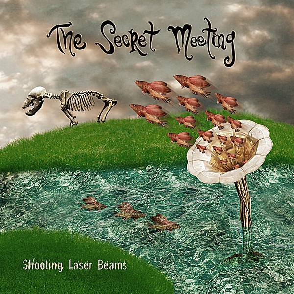 Shooting Laser Beams album cover