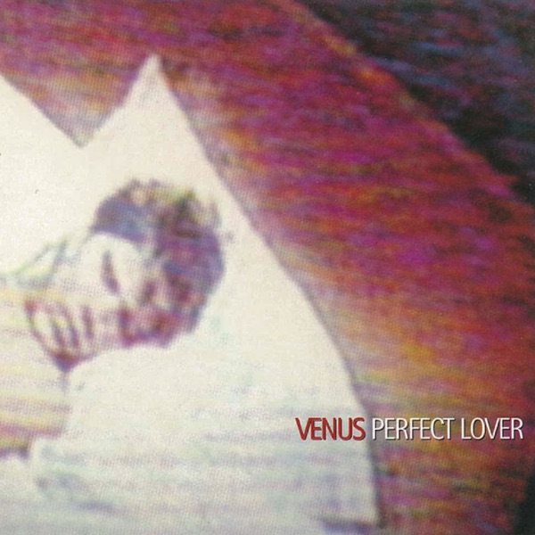 Perfect Lover - EP album cover