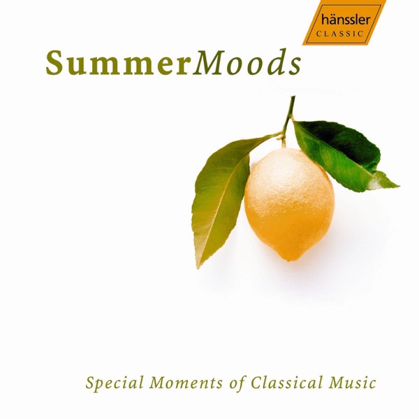 Summer Moods album cover