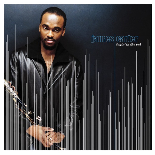 Layin' In the Cut album cover